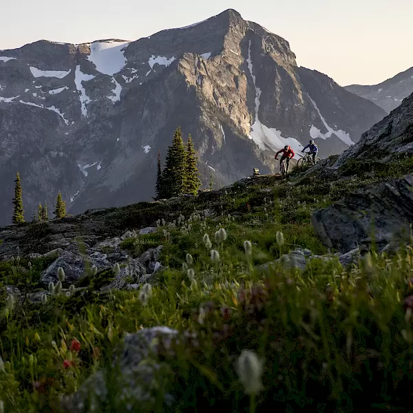 Mountain biker carving through BC singletrack